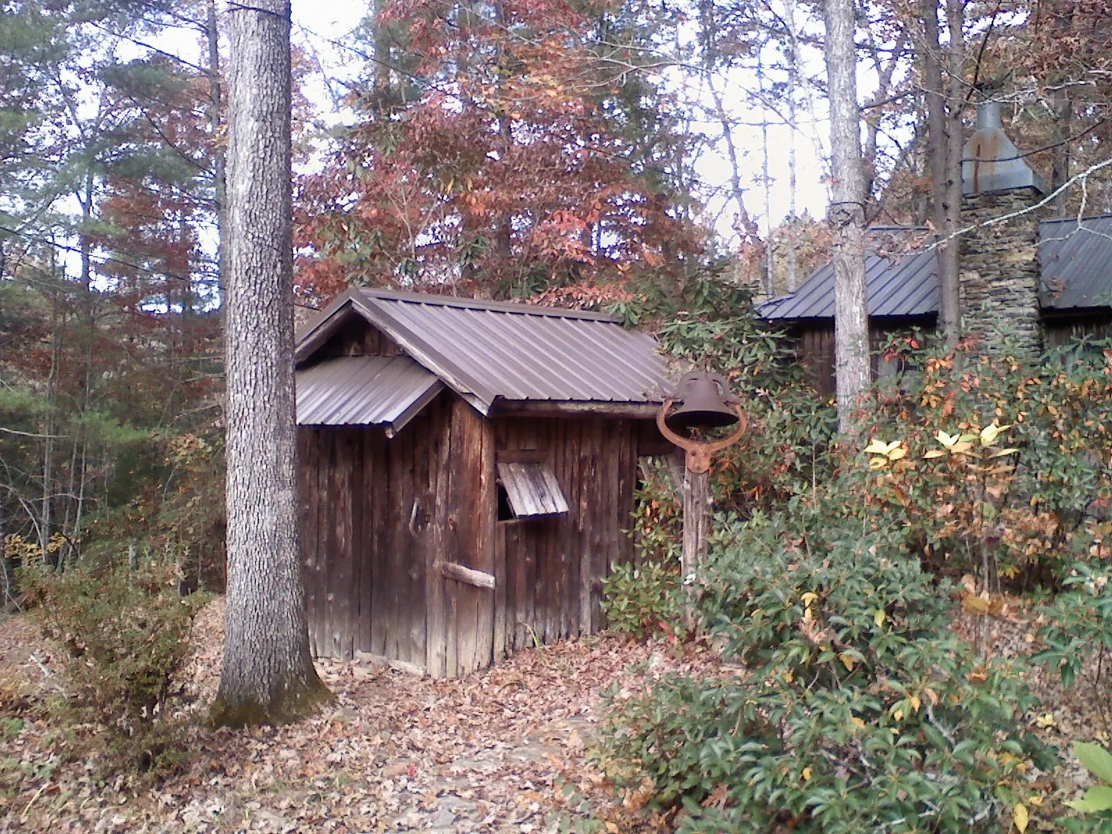 Small metal roof on a rough sawn shed in the woods in Plaistow
